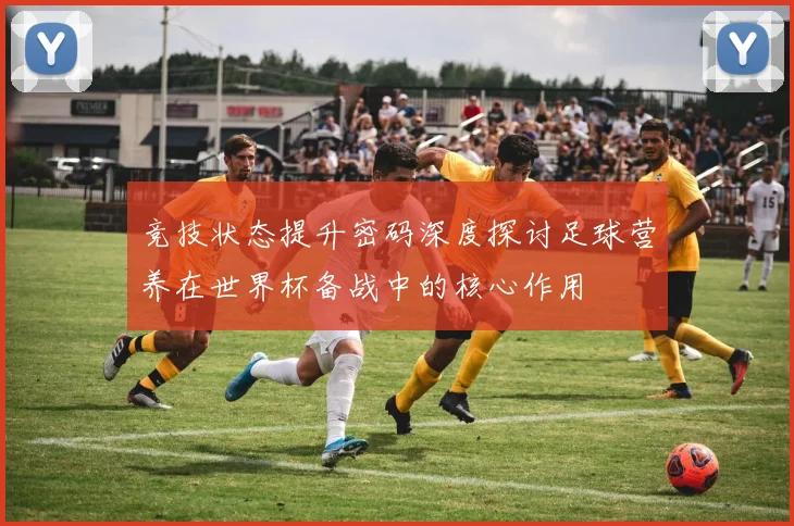 竞技状态提升密码深度探讨足球营养在世界杯备战中的核心作用